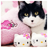 LoveSugus